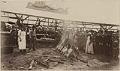Image of Puget Sound tribal members at the Railroad Jubilee barbecue, Seattle, September 1883