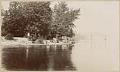 Image of Men and cows at Madison Park, Seattle, August, 1897