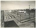 Image of Buses in Seattle Transit System's Jefferson Yard, December 15, 1940