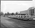 Image of Yellow cabs drivers posing in Volunteer Park, Seattle, 1947