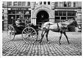 Image of Driver posing with horse and carriage, Seattle, September 23, 1983