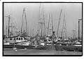 Image of Fisherman fixing net, Seattle,  September 23, 1983