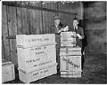 Image of Customs officials working at Foreign Trade Zone, Seattle, March 1950