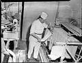 Image of Man hanging noodles on drying rack at Mission Macaroni Co., Seattle, January 1952