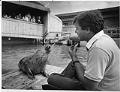 Image of Biologist with harbor seal at Seattle Aquarium, July 1985
