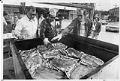 Image of Three men working the salmon grill at Ballard Seafood Fest, September 17, 1977