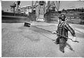 Image of Longshoreman spreading corn at Pier 86, Seattle, March 28, 1988