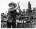 Image of Gardener in Chinatown - International District garden plot, Seattle, April 11, 1986