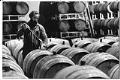 Image of Wine maker sampling from barrel, Woodinville, December 4, 1989