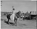 Image of Circus equestrienne riding a horse, Seattle, September 11, 1949