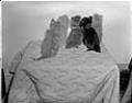 Image of Kittens staring at wall, Seattle, circa 1950