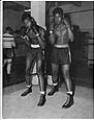 Image of Two boxers posing in a gym, Seattle, circa 1949