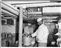 Image of Crew members working in the galley of a ship, Seattle, circa 1953
