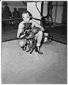 Image of Boxer 