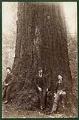 Image of Men leaning on big tree at Ravenna Park, Seattle, circa 1900
