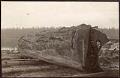 Image of Man with big log at Lake Union, Seattle, circa 1895