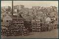 Image of Wharf and beach homes on waterfront, Seattle, circa 1895