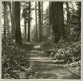 Image of Military road on Beacon Hill, Seattle, circa 1900
