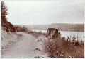 Image of View of Lake Union from the Lake Washington Bicycle Path, Seattle, circa 1902