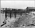 Image of Alder Street sewer outfall into Lake Washington, June 19, 1917