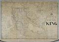 Image of Anderson's New Map of the County of King, State of Washington, 1894