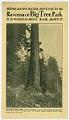 Image of Don't Fail to See Ravenna (or Big Tree Park), 1909