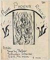 Image of Punk Phoenix Rising fanzine, November 1981