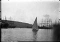 Image of Yacht Pirate sailing on Lake Union, Seattle, April 7, 1926