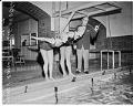 Image of Nancy Ramey and Suzie Ordogh racing for coach Ray Daughters at WAC, Seattle December 1956