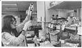 Image of Cell Therapeutics technician at work in lab, October 6, 1992