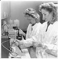 Image of Women working at Genetic Systems lab, Redmond, July 15, 1991