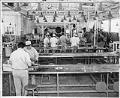 Image of Inmates working in cannery at McNeil Island Penitentiary, October 1942