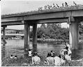 Image of Crowd watching swimmer jump into Lake Washington at 