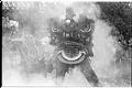 Image of Lion Dance performance at Lunar New Year celebration, Seattle, January 25, 1993