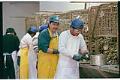 Image of Workers processing oysters at Taylor United plant in Shelton, WA, February 14, 1993