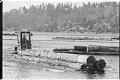 Image of Employee working in Barbee Mill Co. log pond, Renton, March 9, 1993