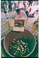 Image of Man unloading guns into foundry crucible, Seattle, June 16, 1993