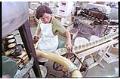 Image of Woman making fortune cookies at Tsue Chong Co., Seattle, July 16, 1993