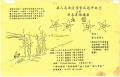 Image of Chinese Baptist Church 5 Years Celebration & New Year Talk poster, Seattle, 1989