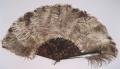 Image of Ostrich feather and tortoise shell stemmed fan from Holland, ca. 1910