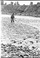 Image of Muckleshoot Tribe member practicing their fishing rights in Green River, Auburn, October 4, 1970