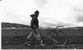 Image of Shoua Chang working on her farm near Woodinville, 1984