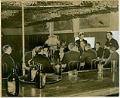 Image of Jurors in coroner's inquest convening at speakeasy, Seattle, August 8, 1941