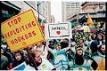 Image of Demonstrators in turtle costumes at WTO protest, Seattle, November 29, 1999