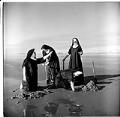 Image of Seattle-area nuns digging for clams, Grayland, WA, August 1960
