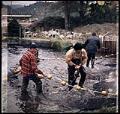 Image of Indigenous fishers practicing their fishing rights, 1972