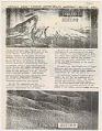 Image of First issue of 