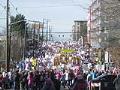 Image of Looking west on Jackson Street during Women's March on Seattle, January 21, 2017