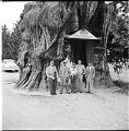 Image of Kohga Photographic Society  members at giant cedar stump, Snohomish County, circa 1950