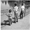 Image of Three boys watching a swan in the water at an unidentified park, circa 1950
